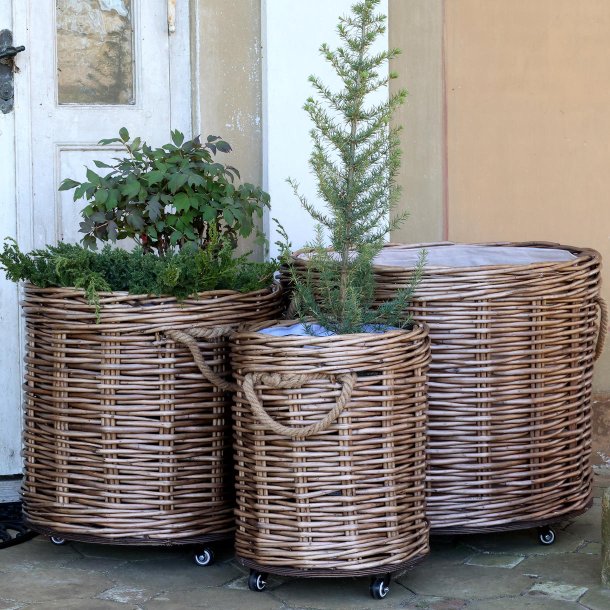 Franske fletkurve i pil med planter til rustik boligindretning