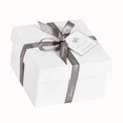 Summerbird Collection 27