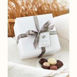 Summerbird Collection 27