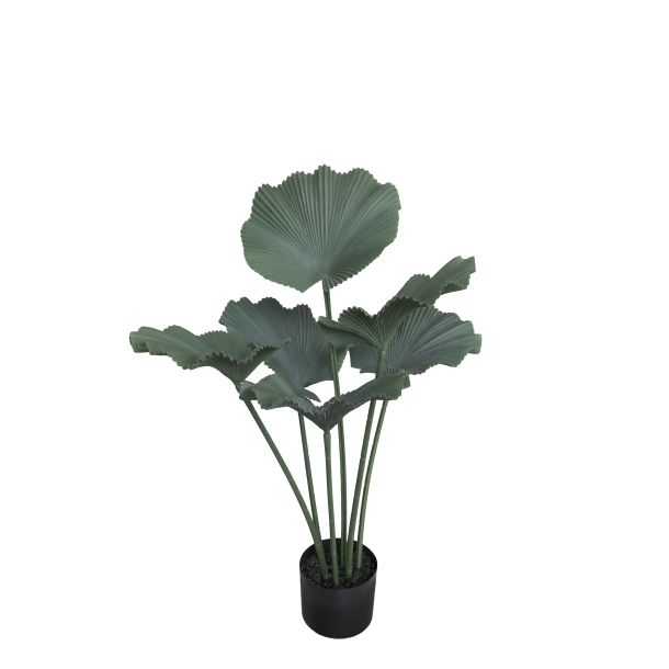 Fleur Plante