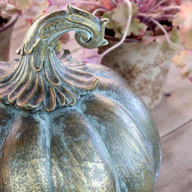 Gr�skar H25/�21,5