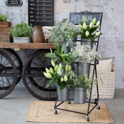 blomsterreol med planter i stuemilj�