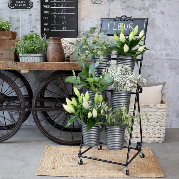 blomsterreol med planter i stuemilj�