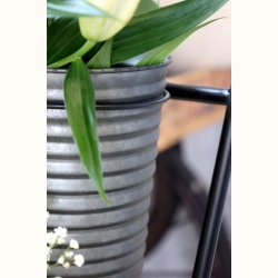 detalje af zink skjuler med plante