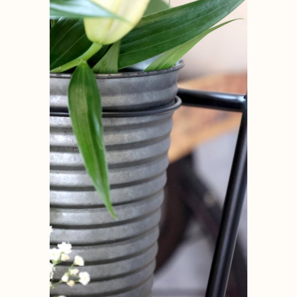 detalje af zink skjuler med plante