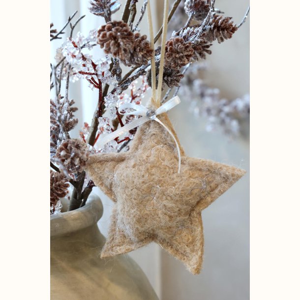 Beige stjerne i filt som juleoph�ng