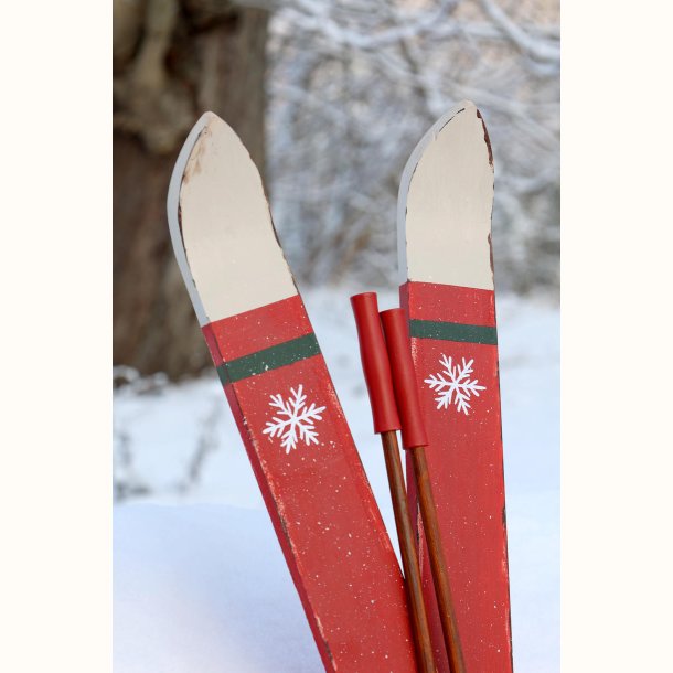 Snefnug p� r�de vintage ski