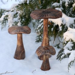 Tr�svampe i sne som julepynt