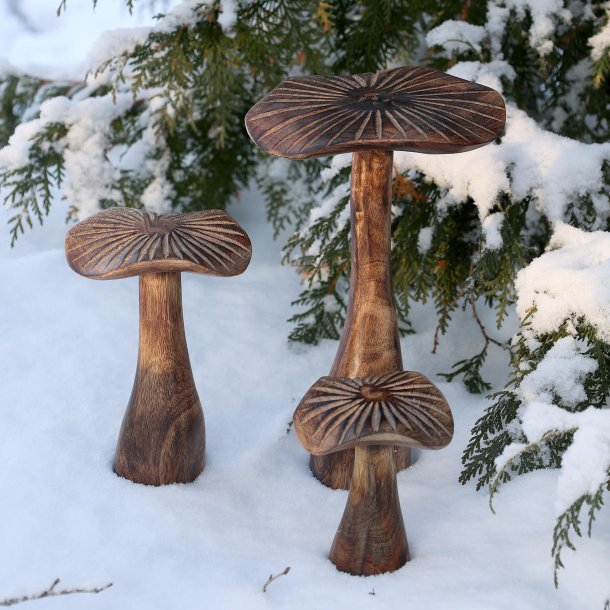 Tr�svampe i sne som julepynt