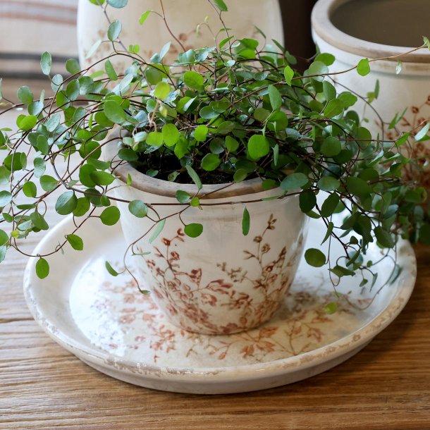 Chaville Skjuler H10,5/�12,5