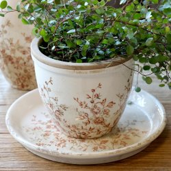 Chaville Skjuler H13/�15