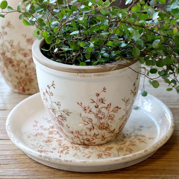 Chaville Skjuler H13/�15