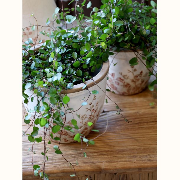 Chaville Skjuler H13/�15