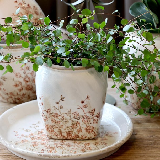 Chaville Skjuler H13/�12