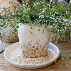 Chaville Skjuler H15/�13,5