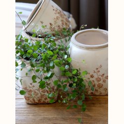 Chaville Skjuler H15/�13,5