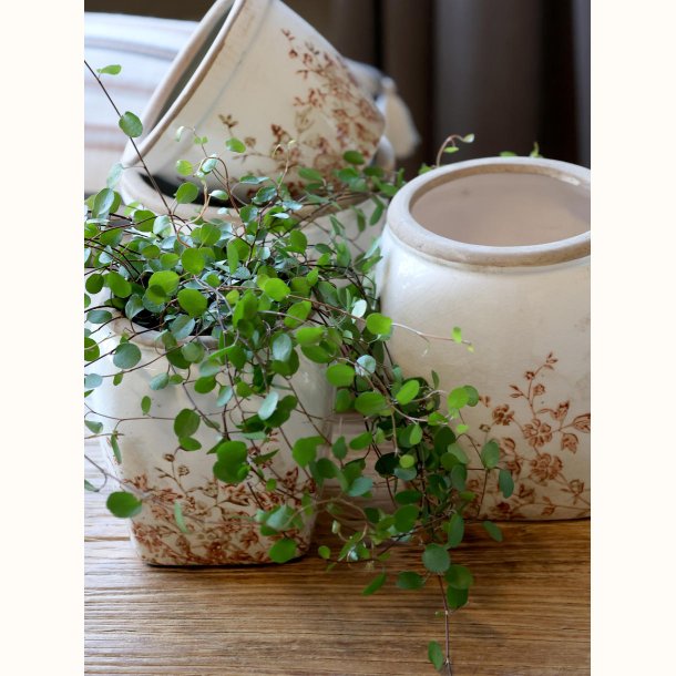 Chaville Skjuler H15/�13,5