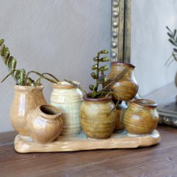 Vaser p� fad med t�rrede grene