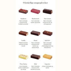 Summerbird - Tapas 18